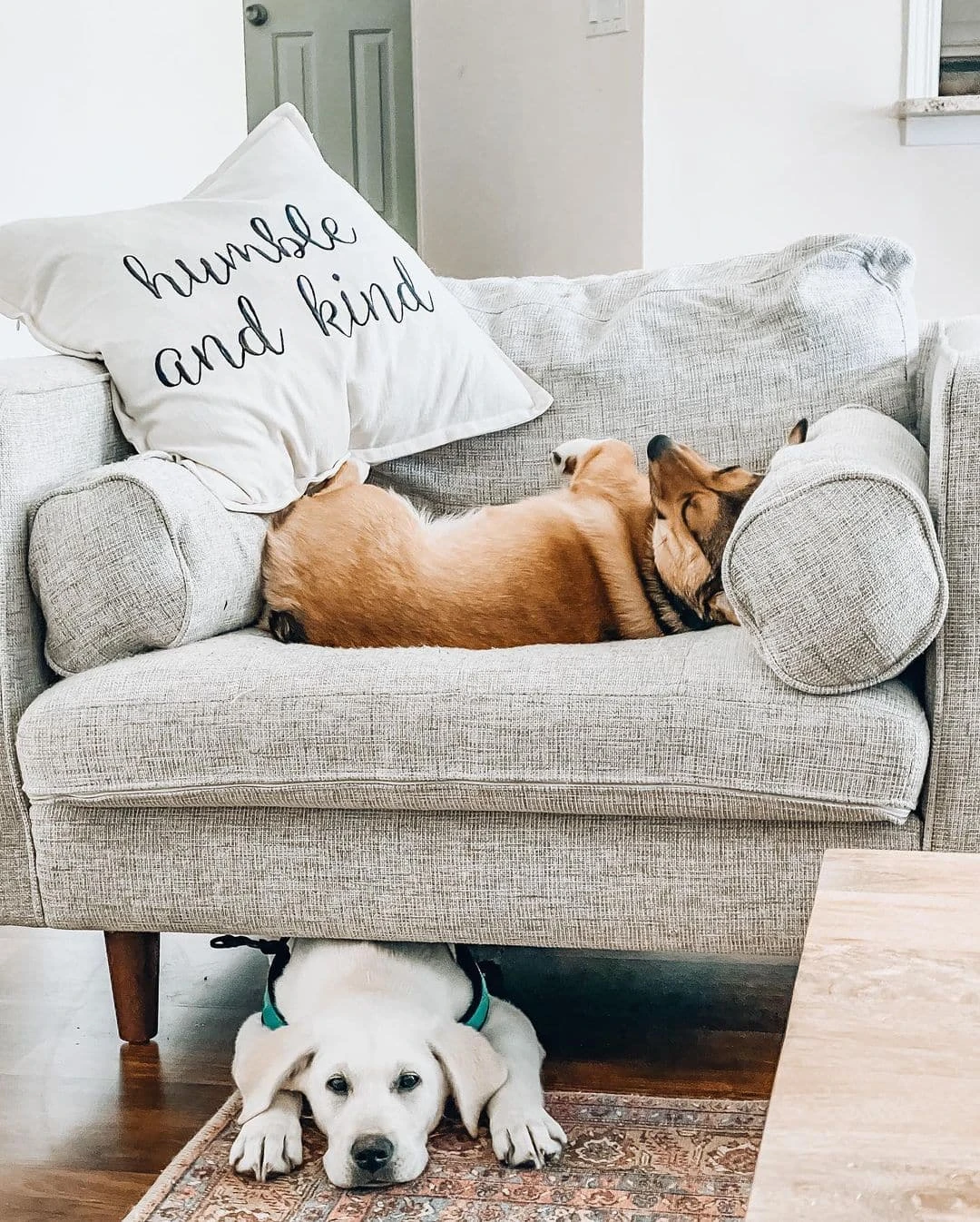 Humble And Kind Script Decorative Pillow Cover - Image 8