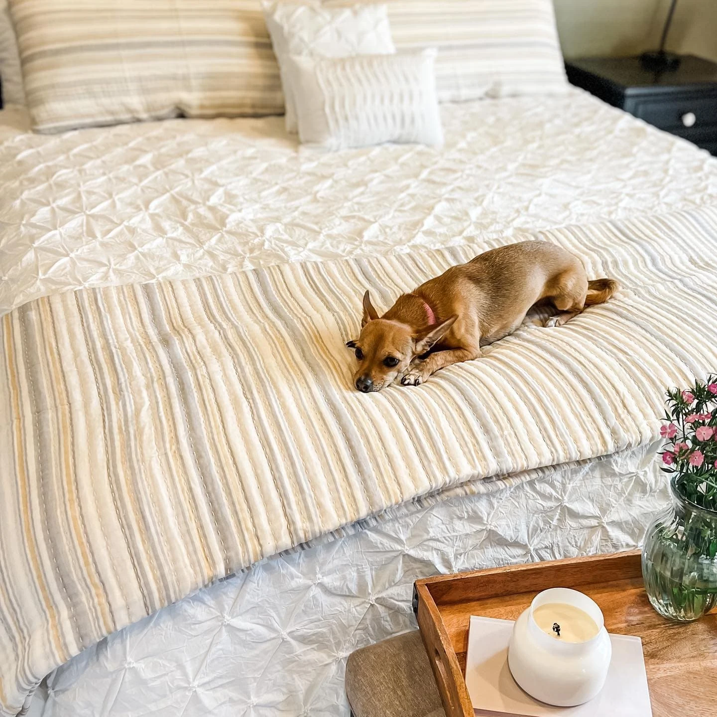 Solange Stripe Kantha Pick Stitch Yarn Dyed Cotton Woven Quilt/Coverlet Set - Image 15