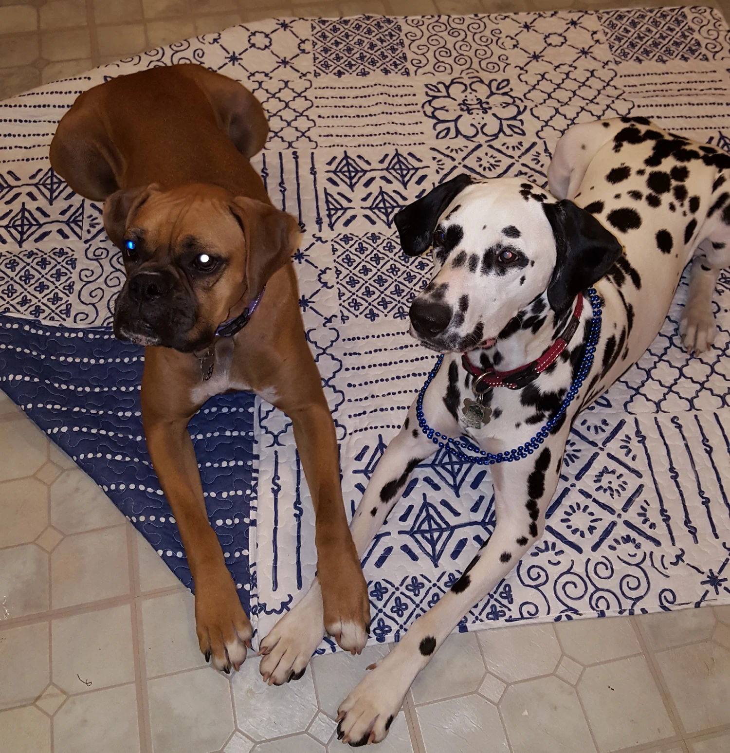 Monique Throw - Image 5